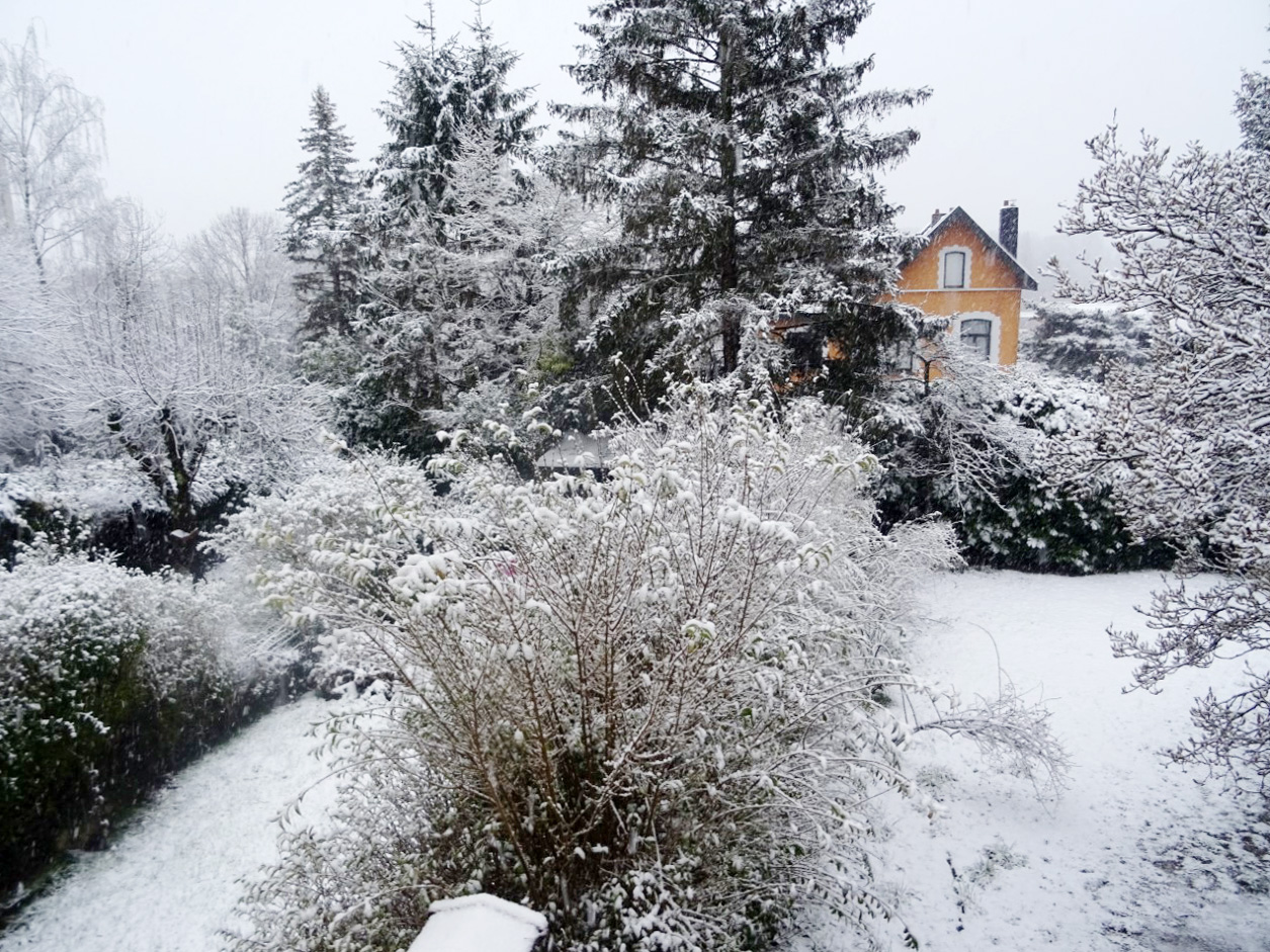 KUNA Heavy snowfall in Brussels