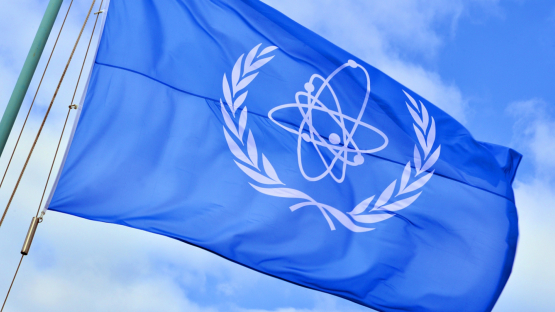 L'Agence internationale de l’énergie atomique (AIEA).
