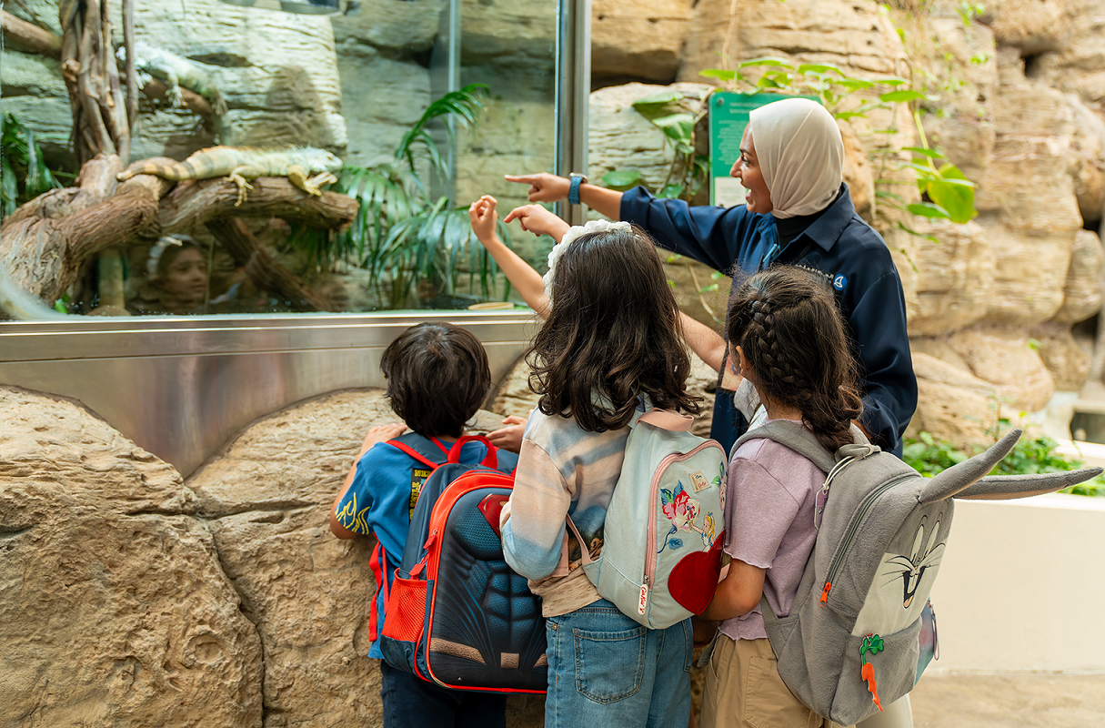 Introductory tour for the children