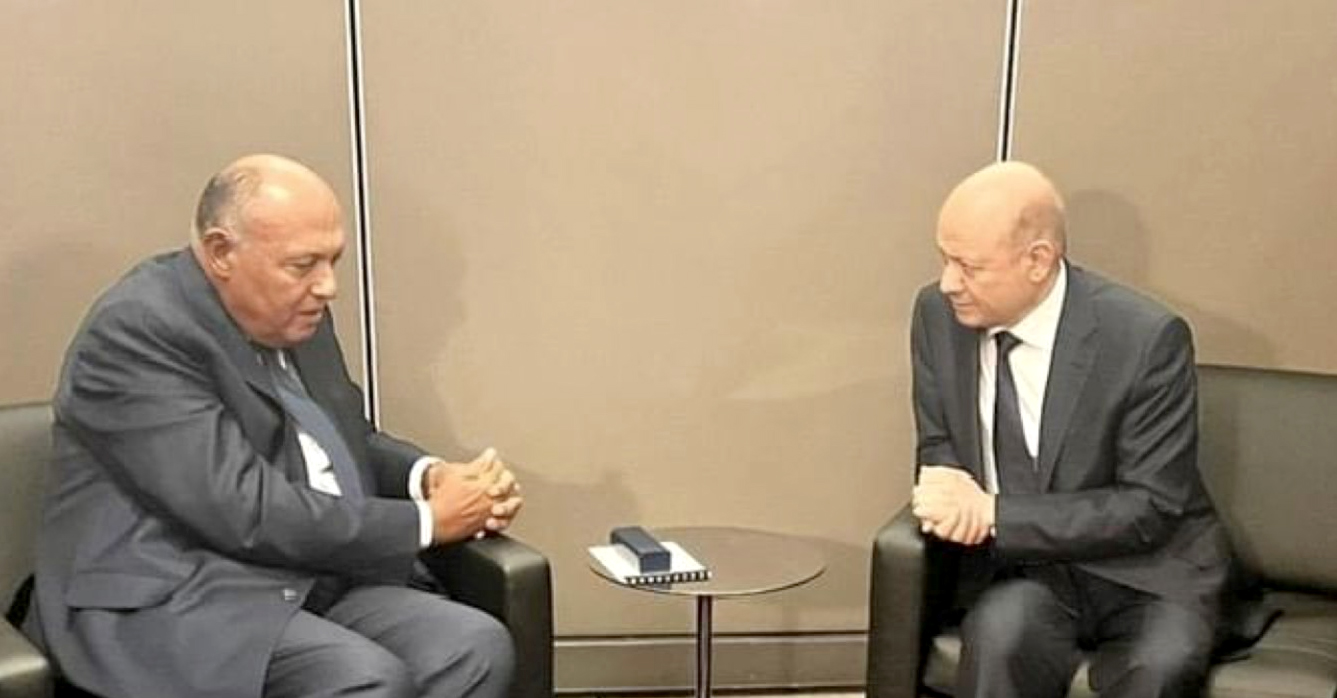 Egyptian Foreign Minister meets head of the Yemeni presidential council