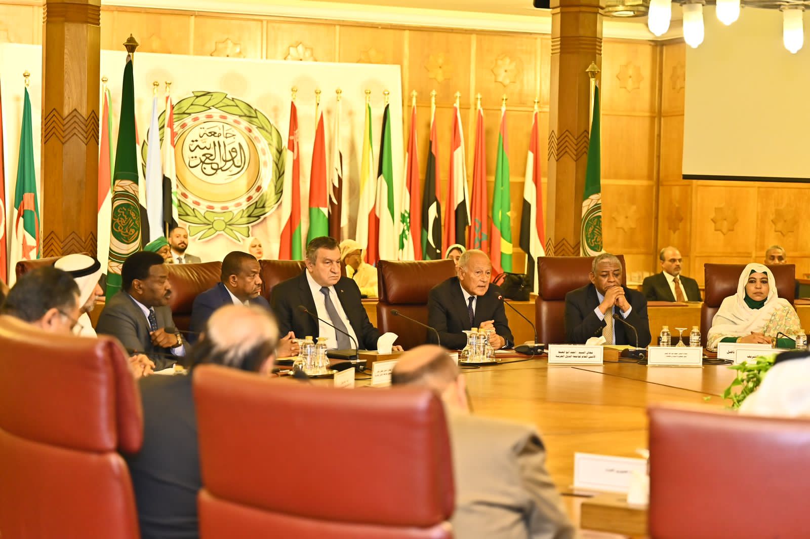 Special meeting of the Arab unions for supporting the Sudanese people