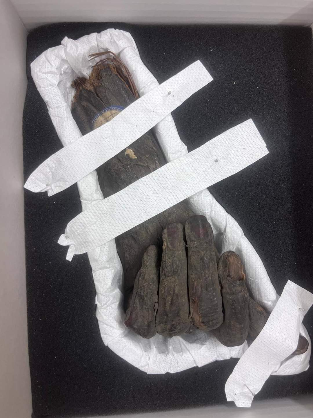 أحد القطع الأثرية التي تم استعادتها من ألمانيا