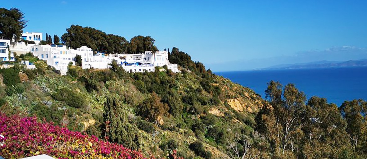 Tunisia's Ennejma Ezzahra's Palace