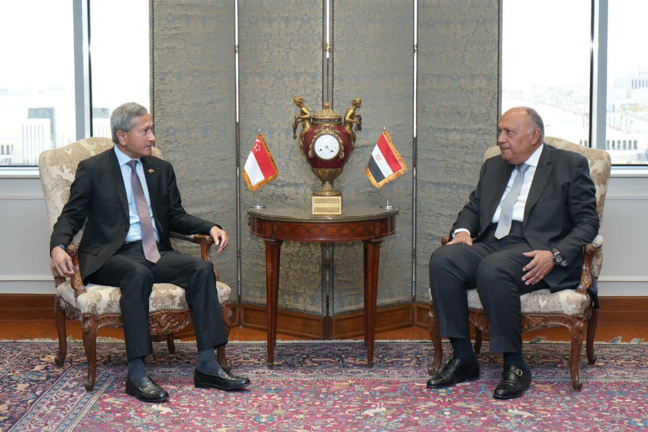Egypt's Foreign Minister meets with his Singaporean counterpart