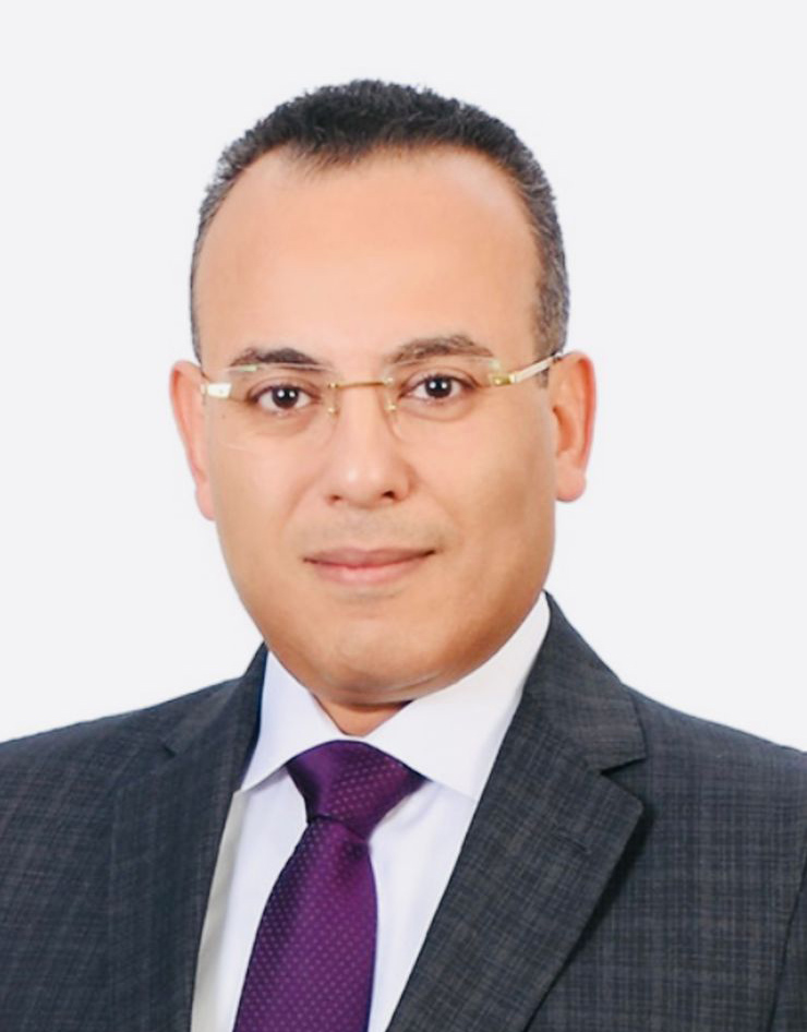 المتحدث الرسمي باسم الرئاسة المصرية المستشار أحمد فهمي