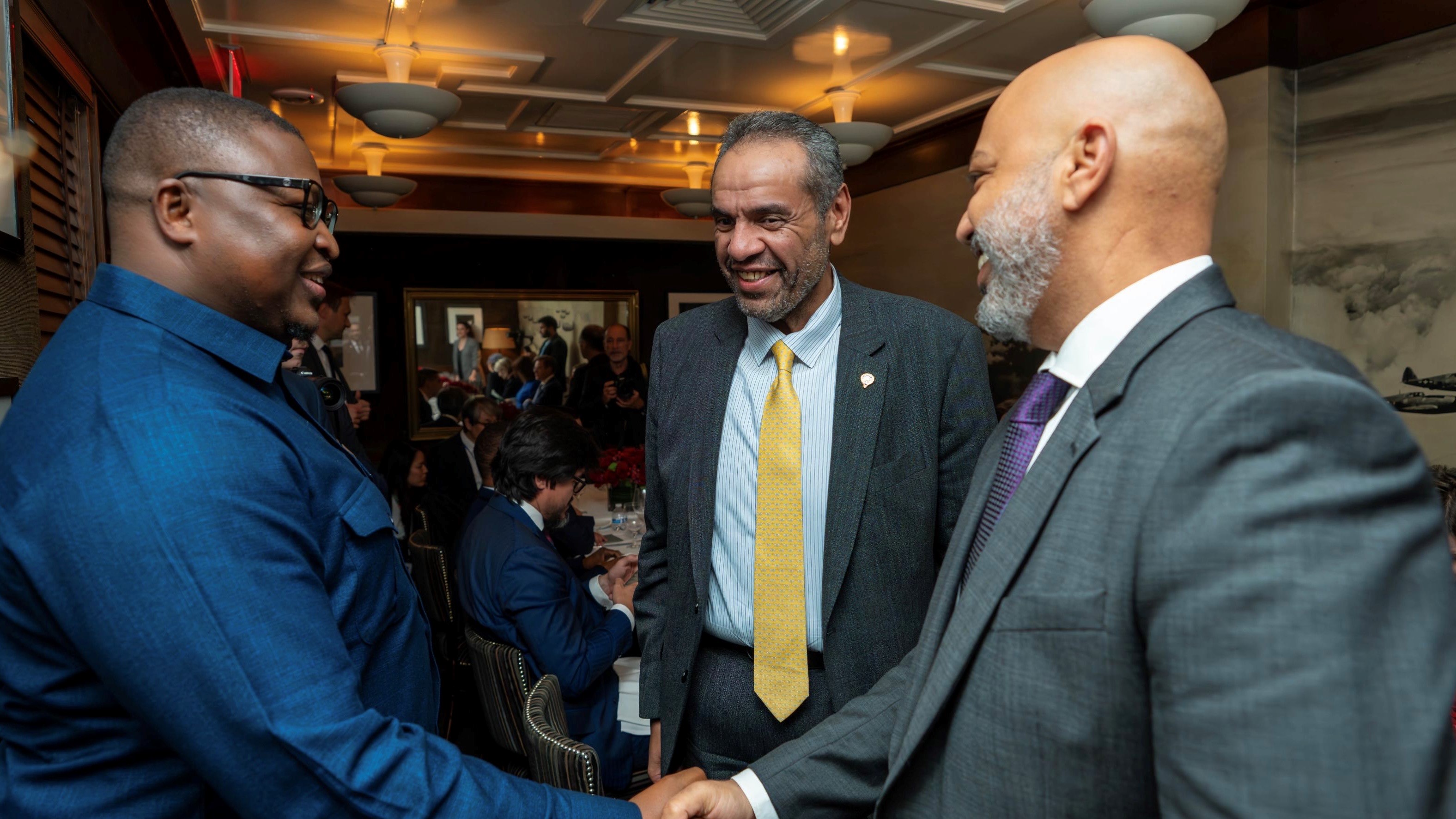 Foreign Minister co-hosted a working dinner non-permanent members of UNSC	