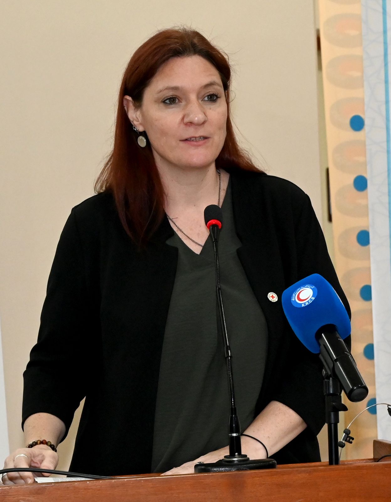 ICRC Regional Protection Coordinator Ynske Vandormael