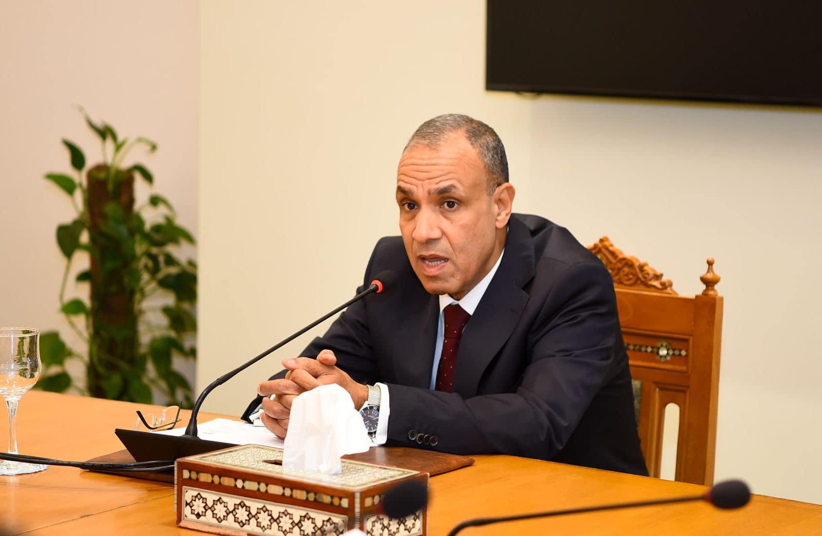 وزير الخارجية المصري بدر عبدالعاطي