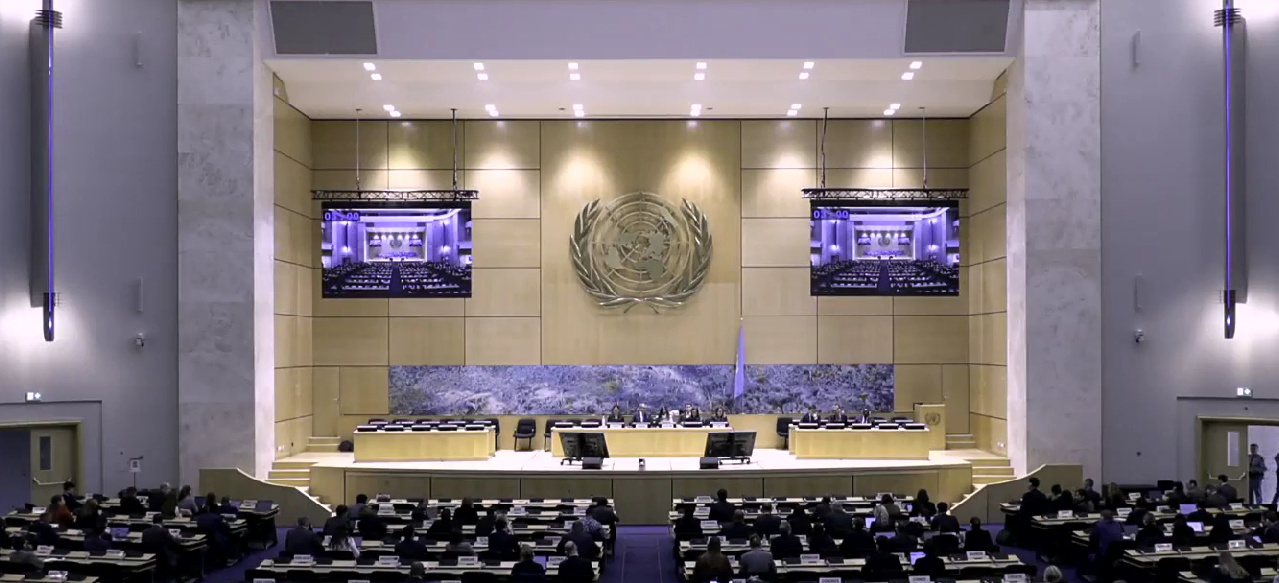 The United Nations Human Rights Council