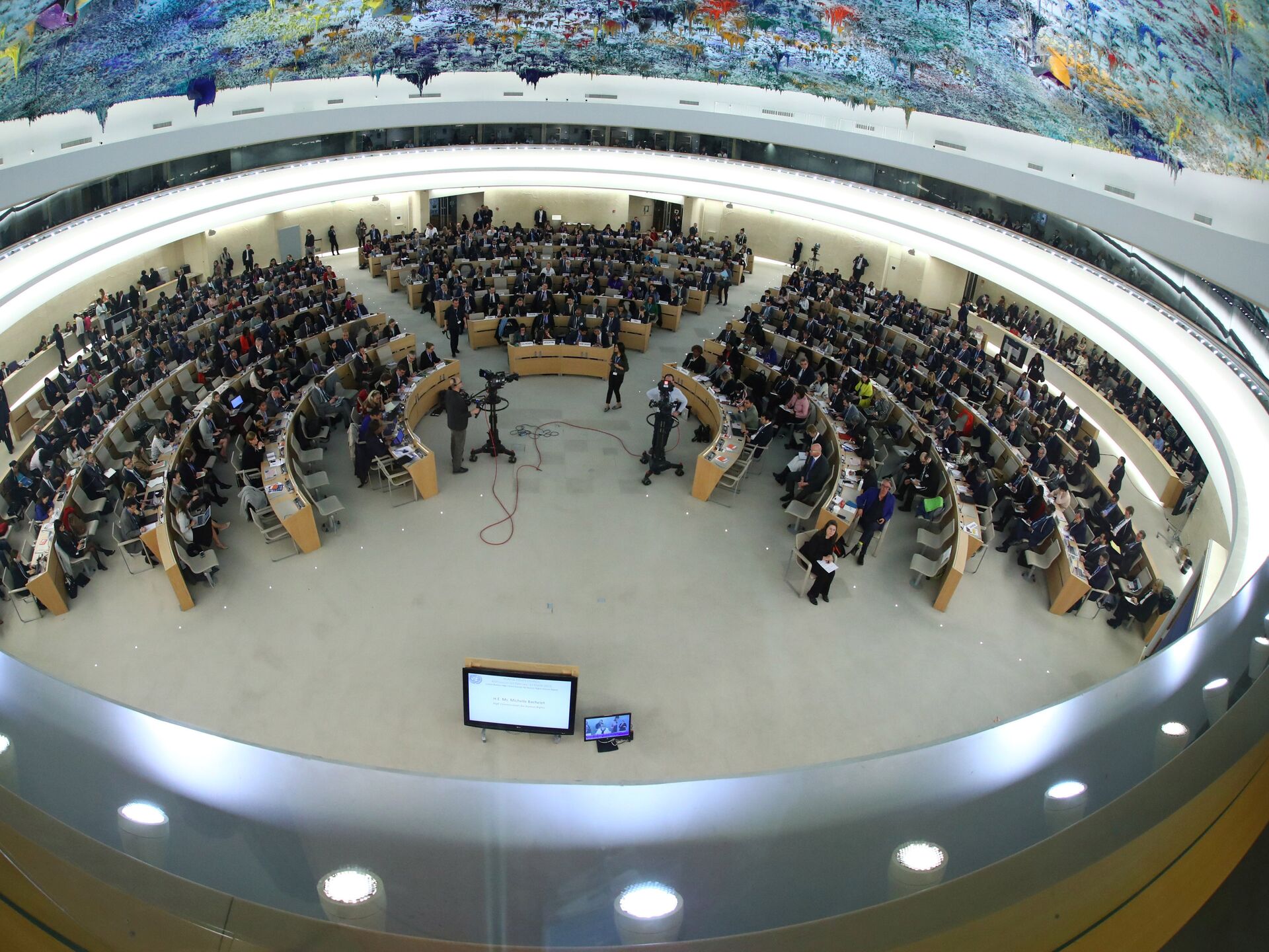 The Human Rights Council