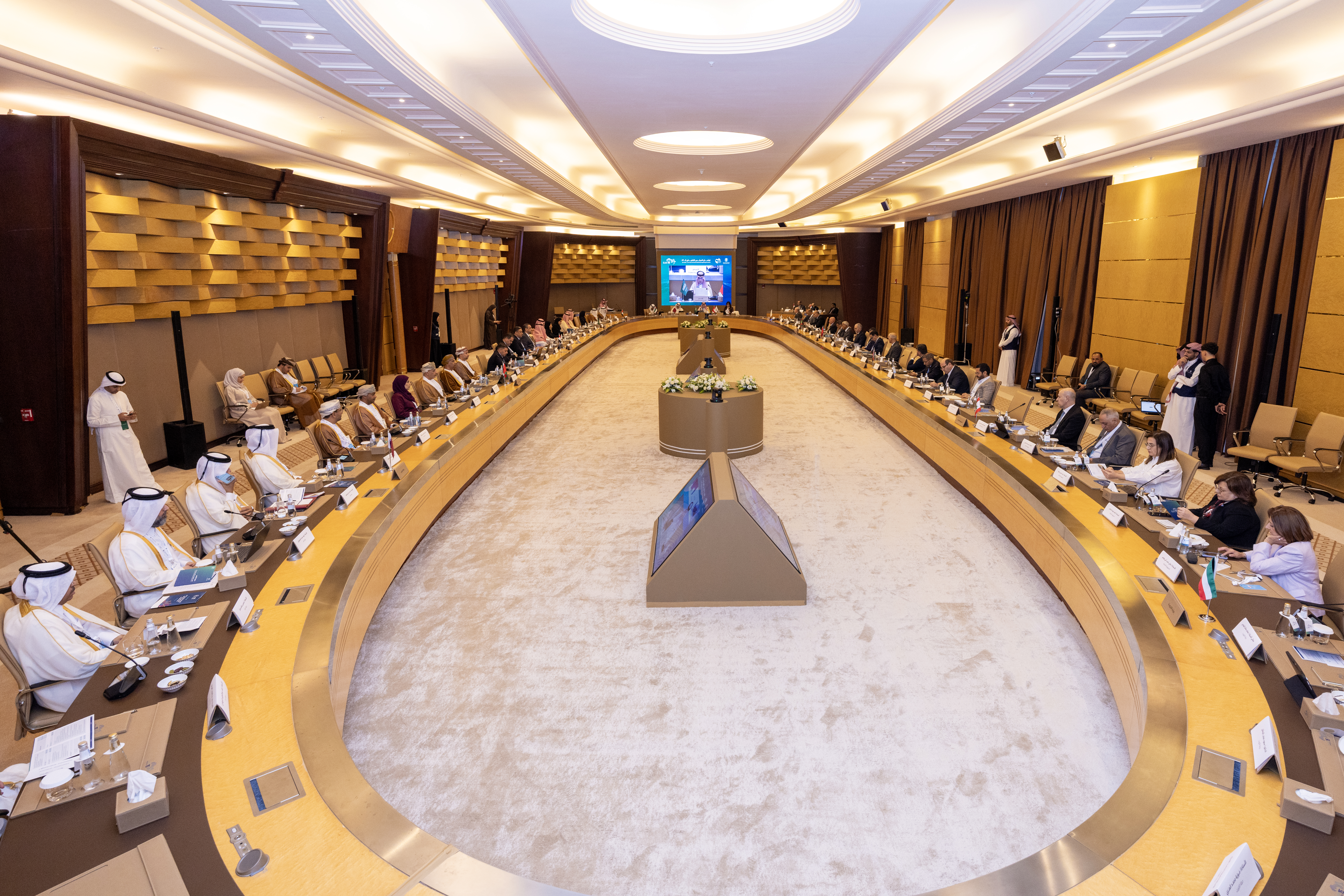 The 69th session of the Executive Council of the Arab Organization of Supreme Audit Institutions