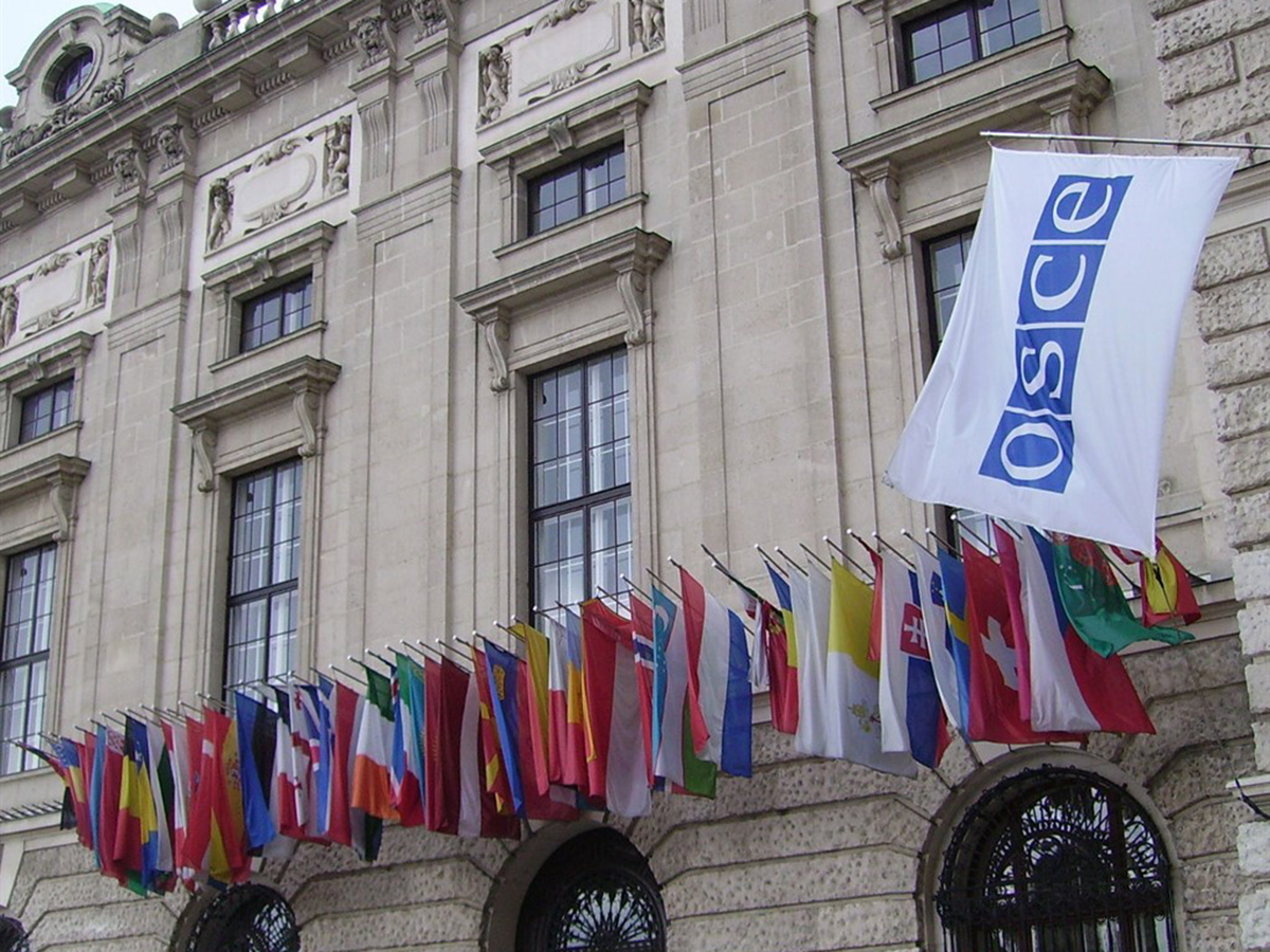 Organization for Security and Cooperation in Europe