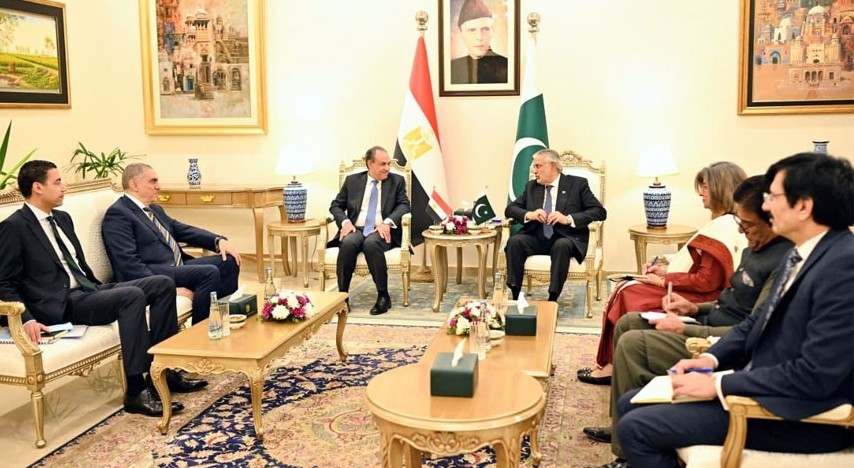 نائب رئيس الوزراء الباكستاني إسحاق دار ووزير الخارجية المصري الدكتور بدر عبدالعاطي