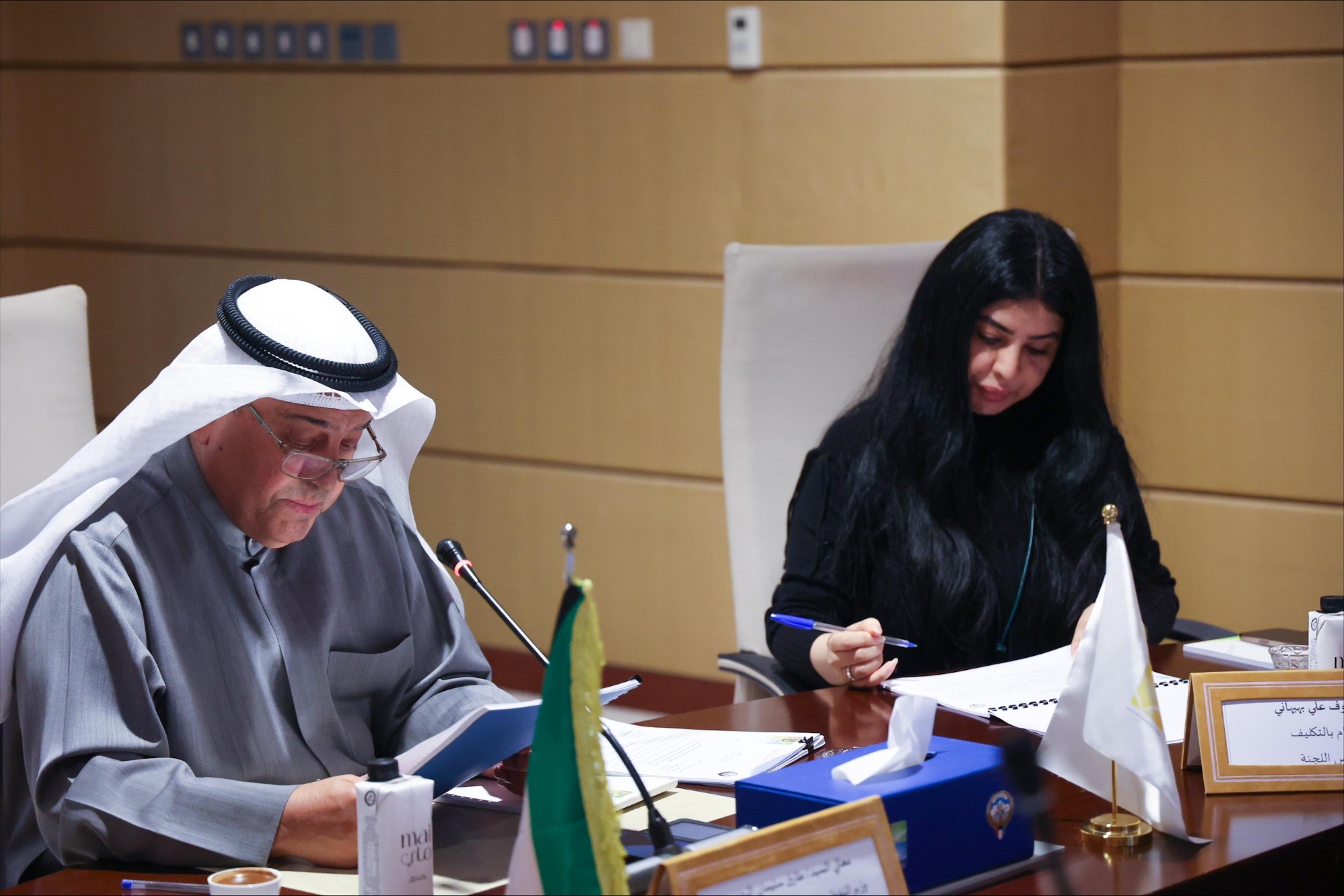 وزير النفط ورئيس المجلس الأعلى للبيئة طارق الرومي يترأس الاجتماع