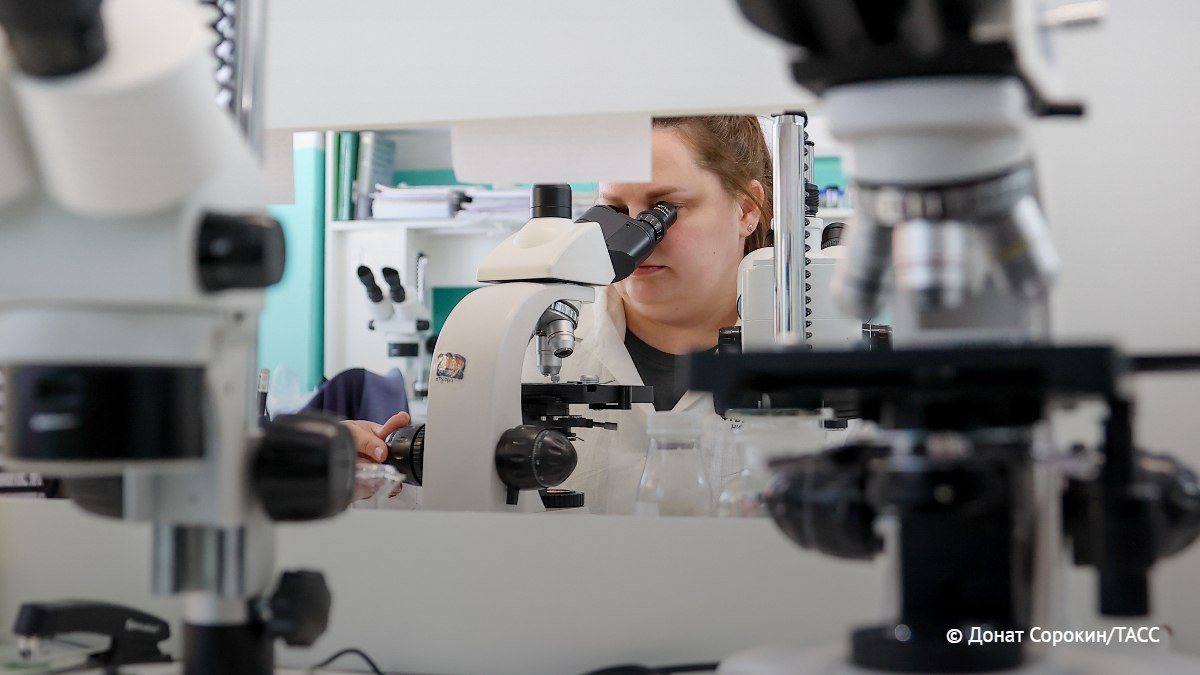 Russian scientists creating nanostructures using DNA-based building blocks