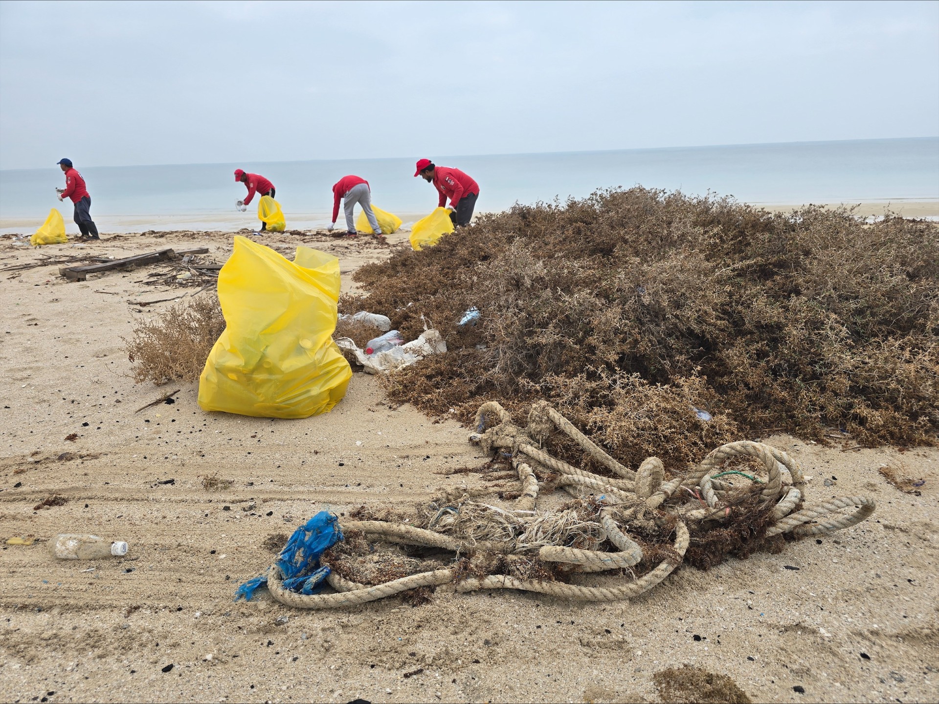 La campagne de l'équipe de plongée sur la côte d'Al-Zour