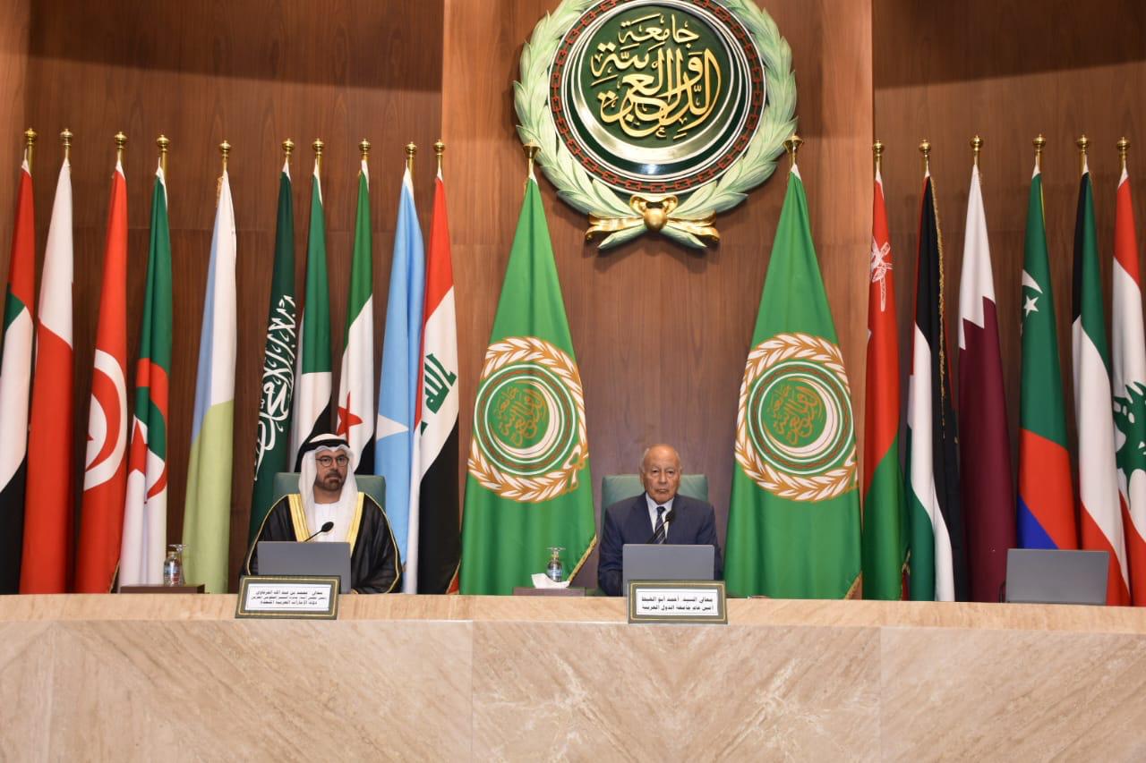  الأمين العام لجامعة الدول العربية أحمد أبو الغيط