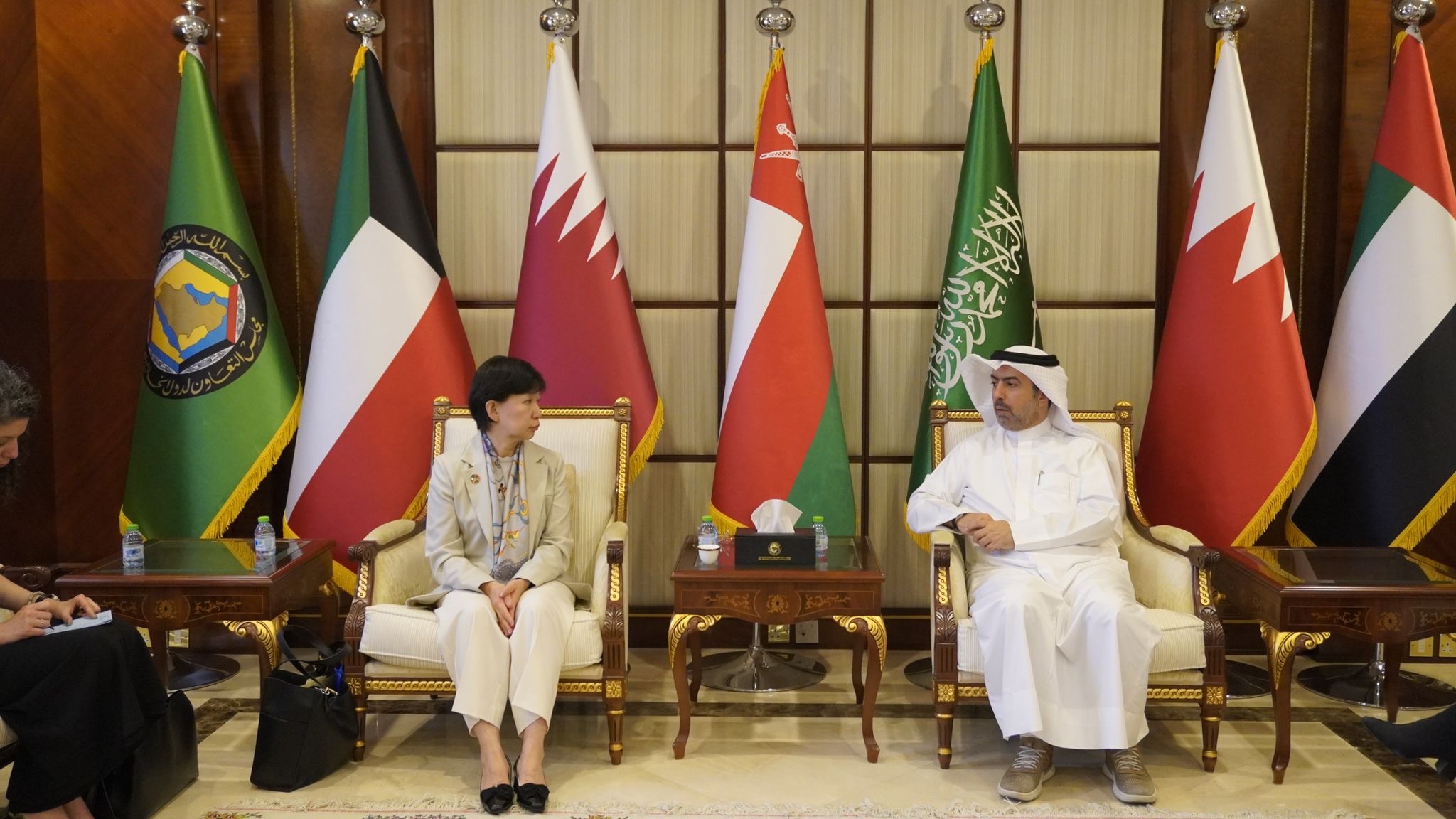 رئيس مركز (حالات الطوارئ) الخليجي يبحث مع الممثلة السامية لشؤون نزع السلاح دعم منظومة الجاهزية الخليجية