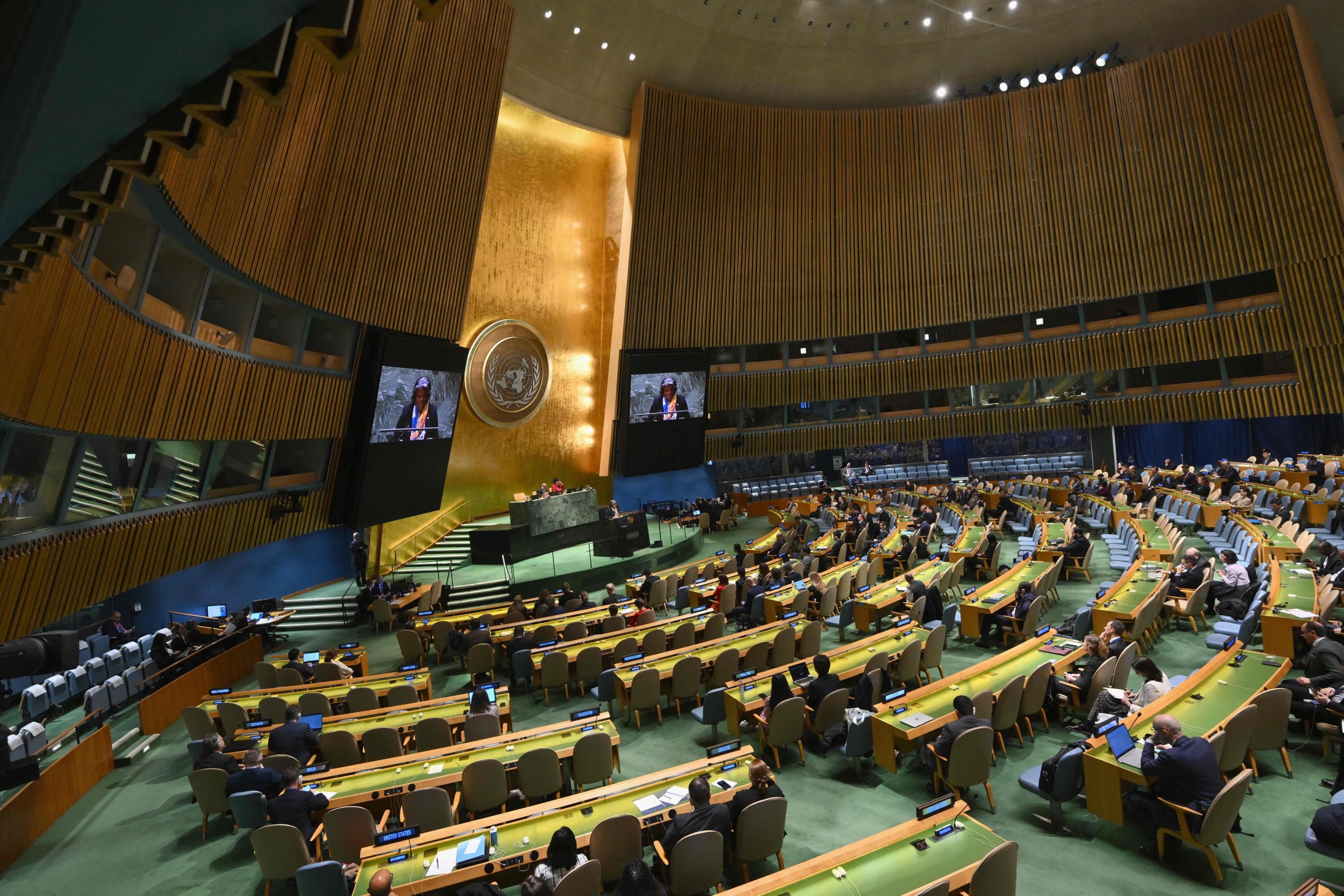 L'Assemblée générale de l’ONU