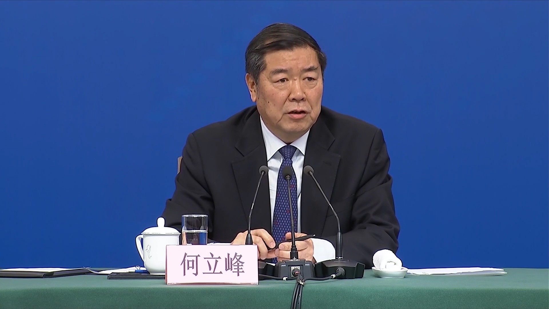 Chinese Vice Premier