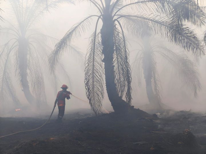 الضباب الدخاني الناتج عن حرائق الغابات في إقليم (رياو) بإندونيسيا