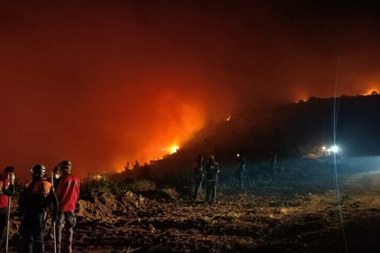 Turkiye's forest fires spread to Bursa