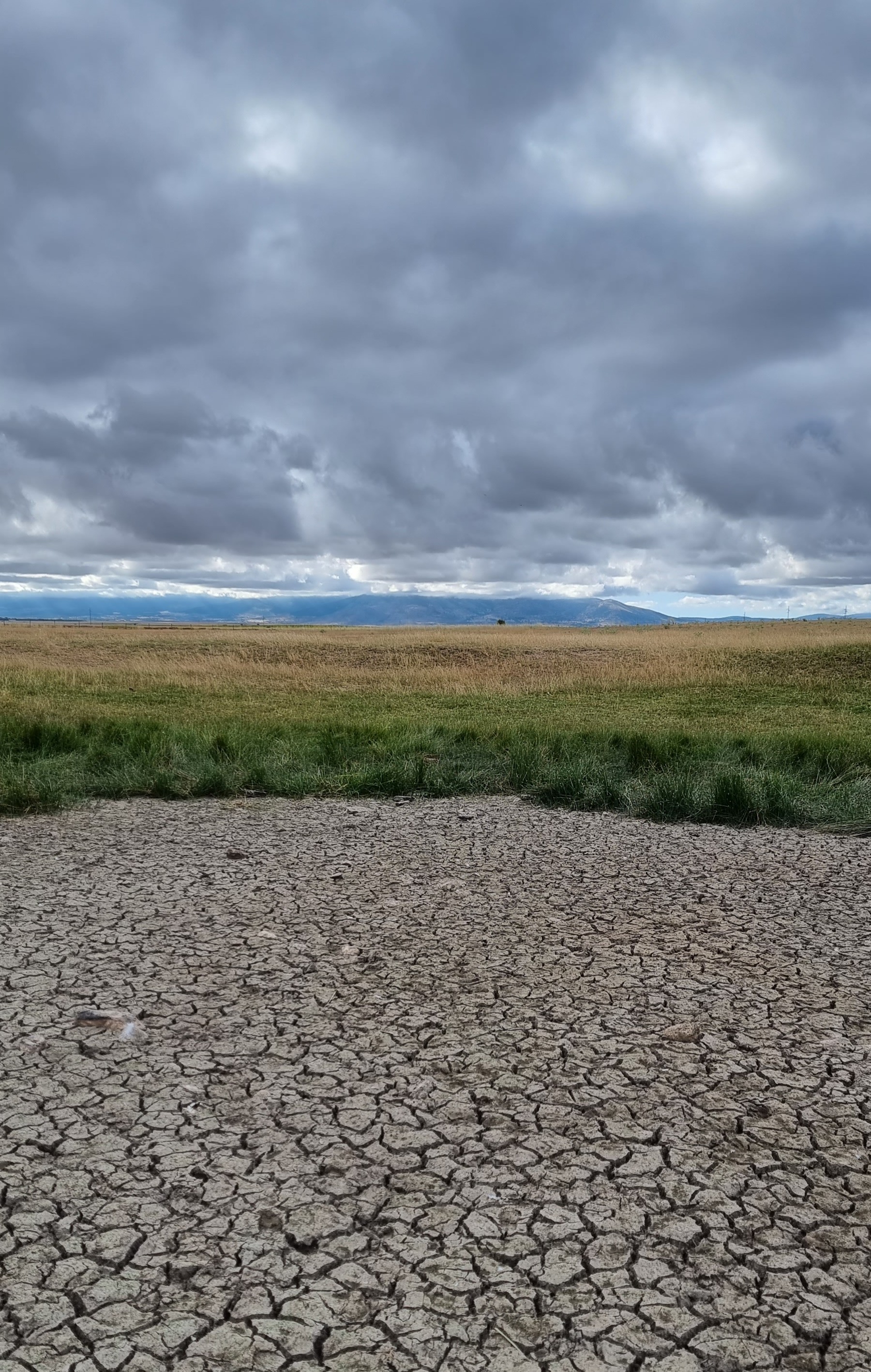 جفاف إحدى البحيرات بسبب الحر الشديد