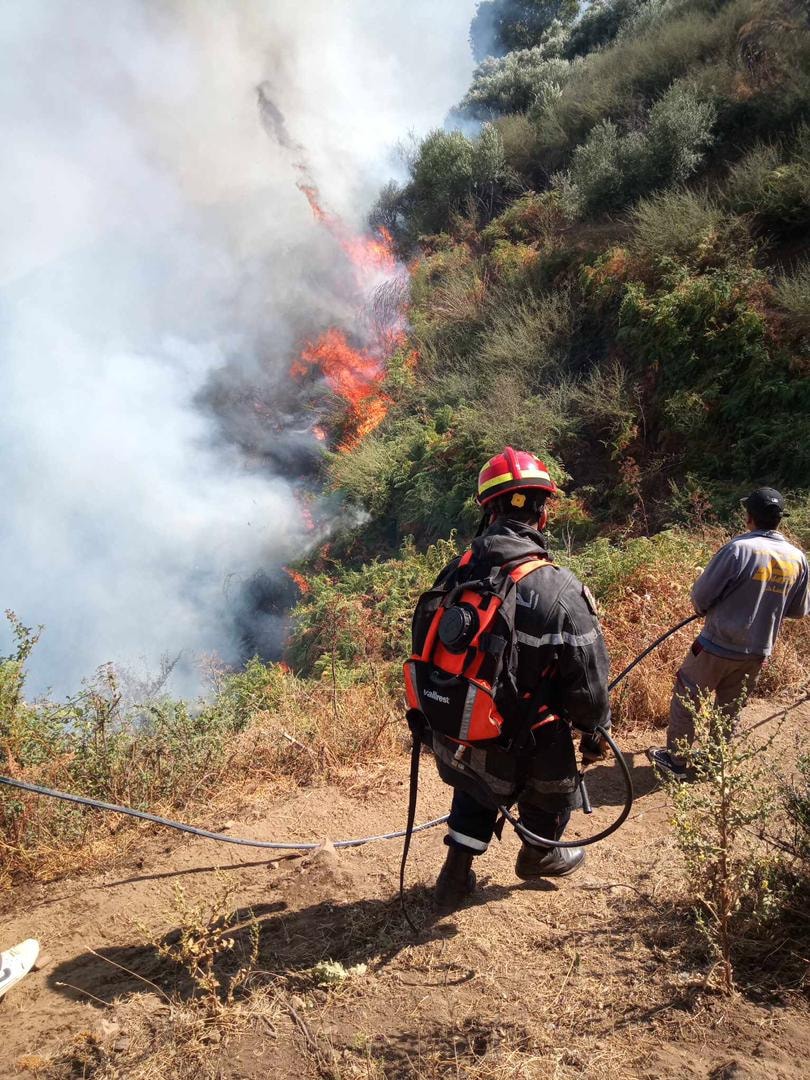 عميات اخماد حرائق الغابات بولاية برج بوعريريج شرقي الجزائر