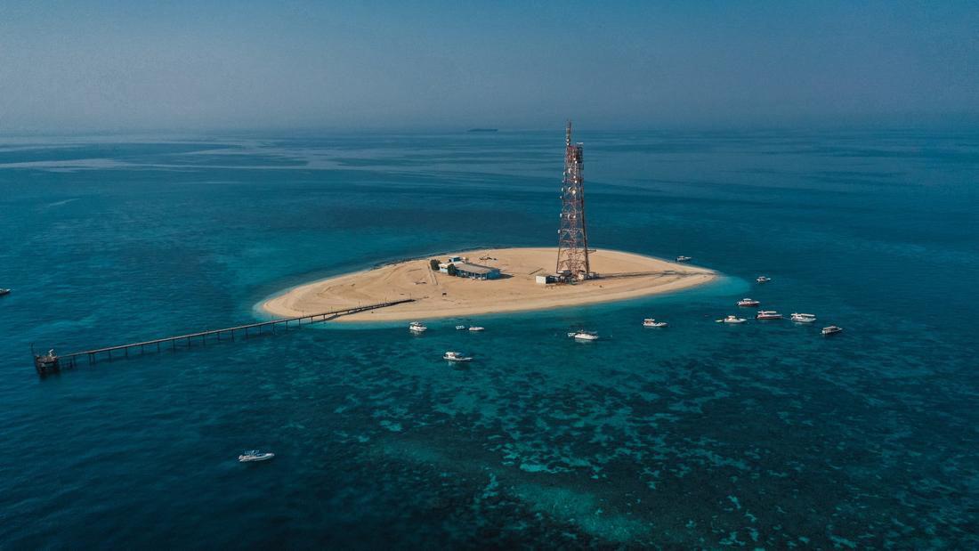 الجزر بعد تنظيفها