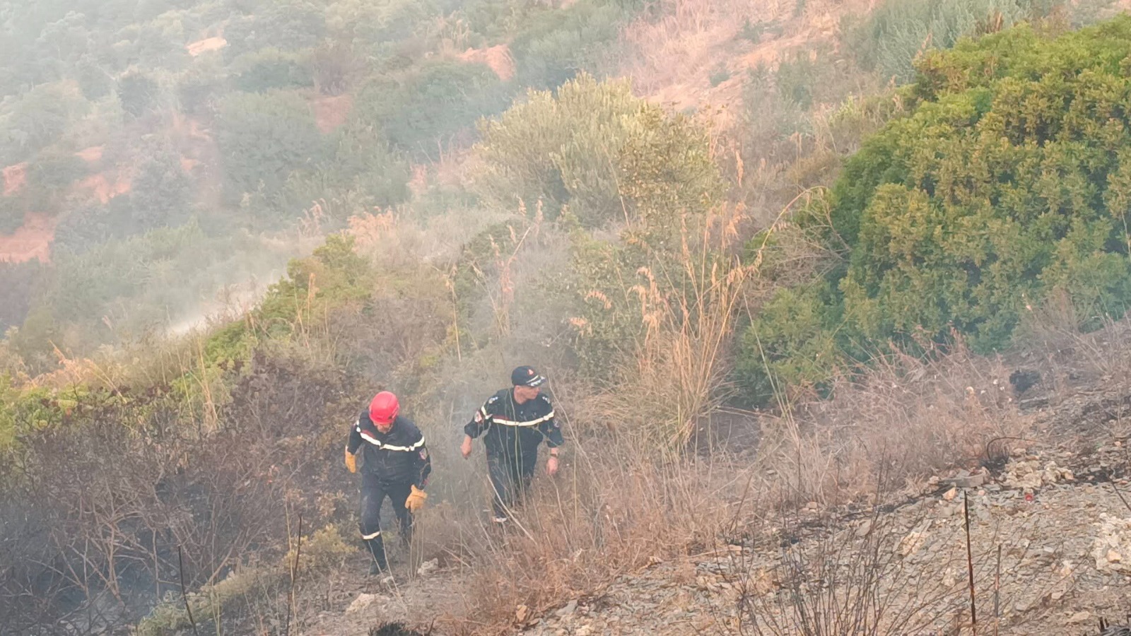 عناصر الحماية المدنية بغابات جبال الشريعة