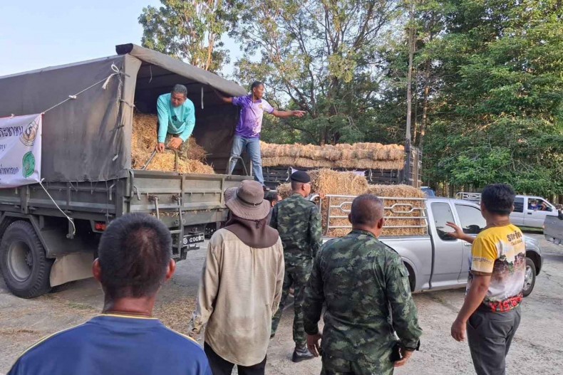 السلطات التايلاندية تبدأ إعادة تأهيل المناطق المتضررة من الاشتباكات ضمن جهود رسمية لمعالجة آثار النزاع وتخفيف معاناة المدنيين