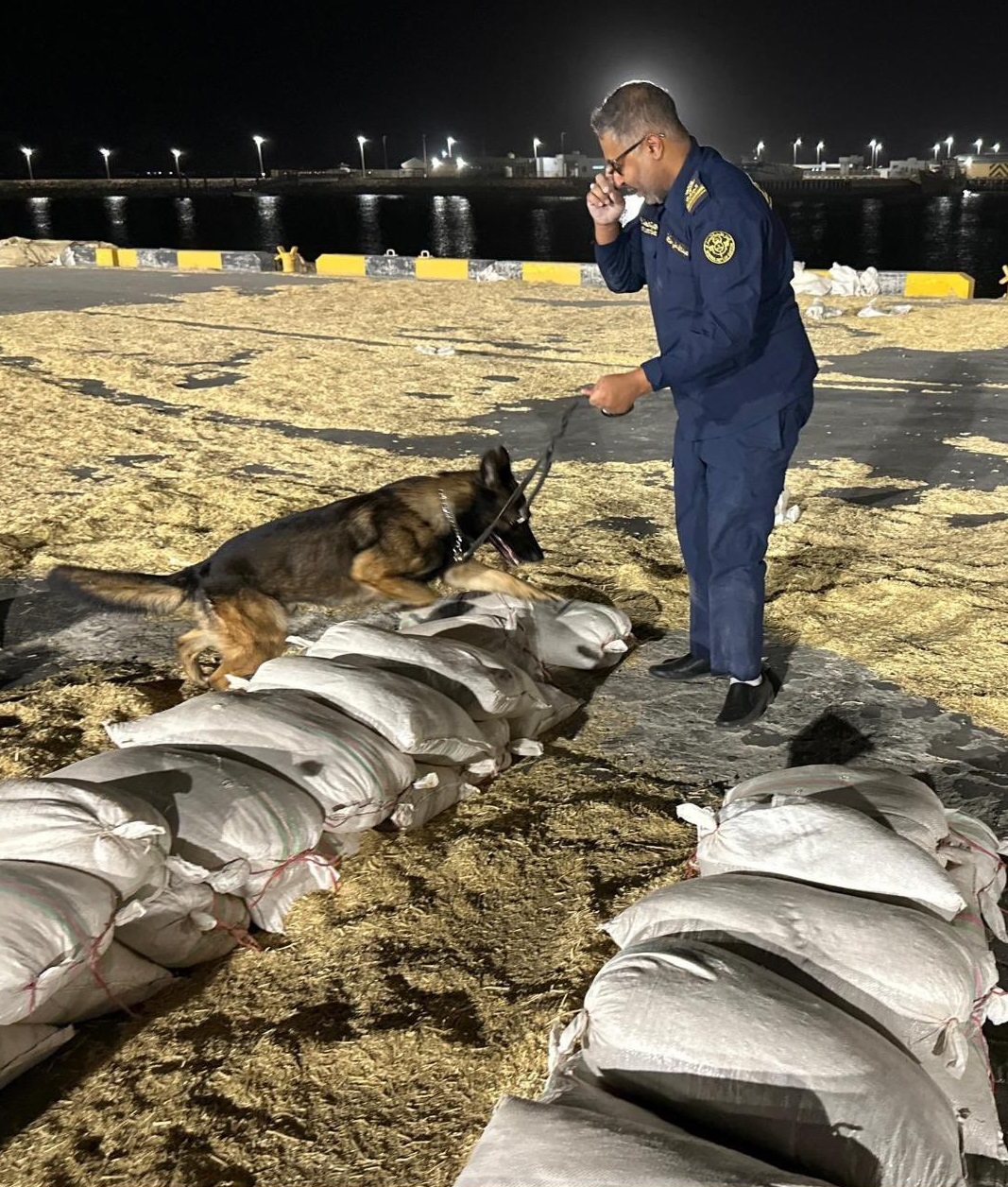 إحباط محاولة تهريب كمية كبيرة من المواد المخدرة في جمارك ميناء الدوحة