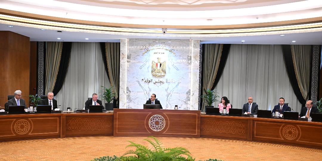 رئيس وزراء مصر ونائب رئيس وزراء روسيا يبحثان قضايا وملفات محل اهتمام مشترك.