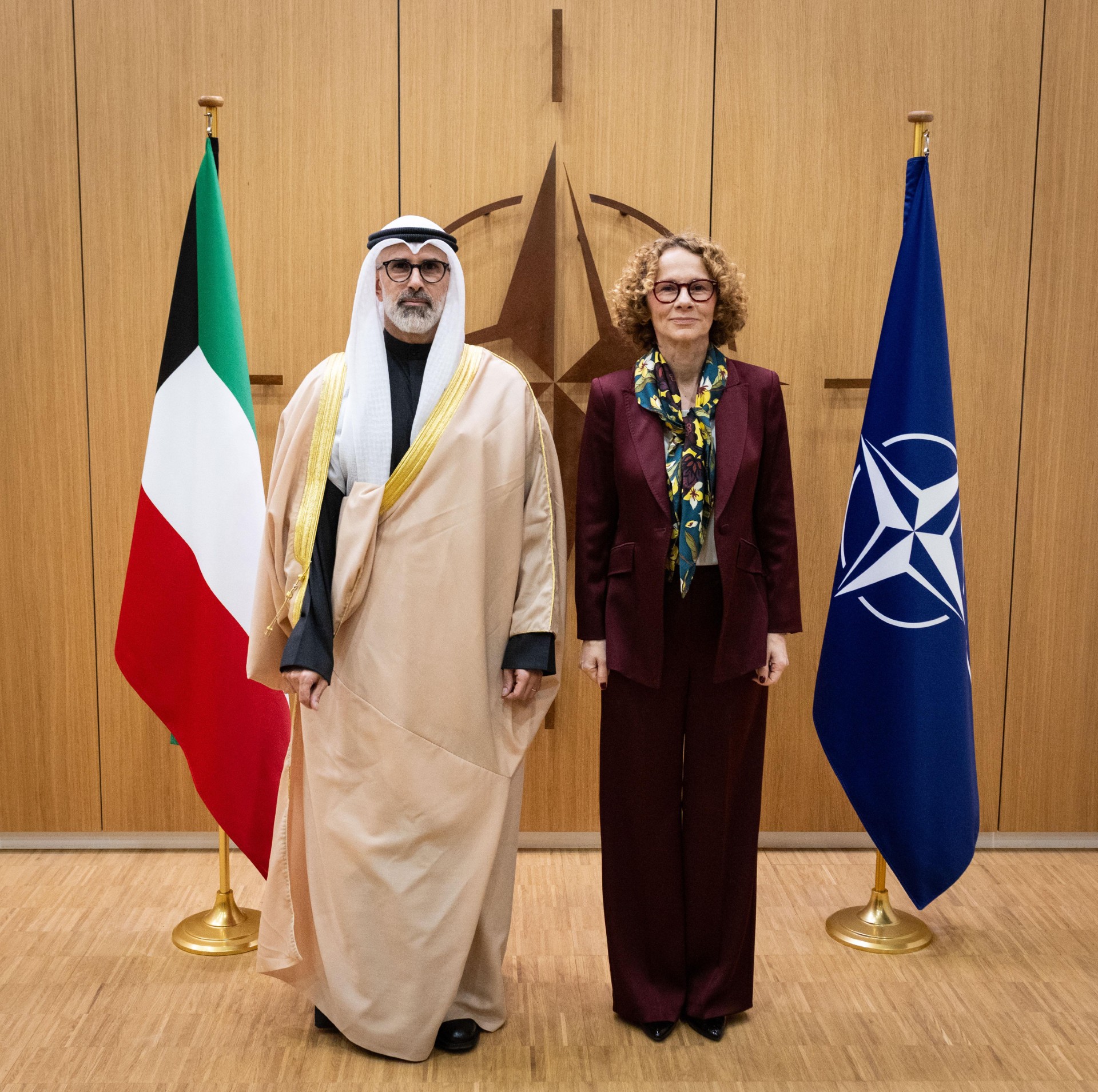 نائب وزير الخارجية مع نائب الأمين العام لمنظمة حلف شمال الأطلسي (ناتو)