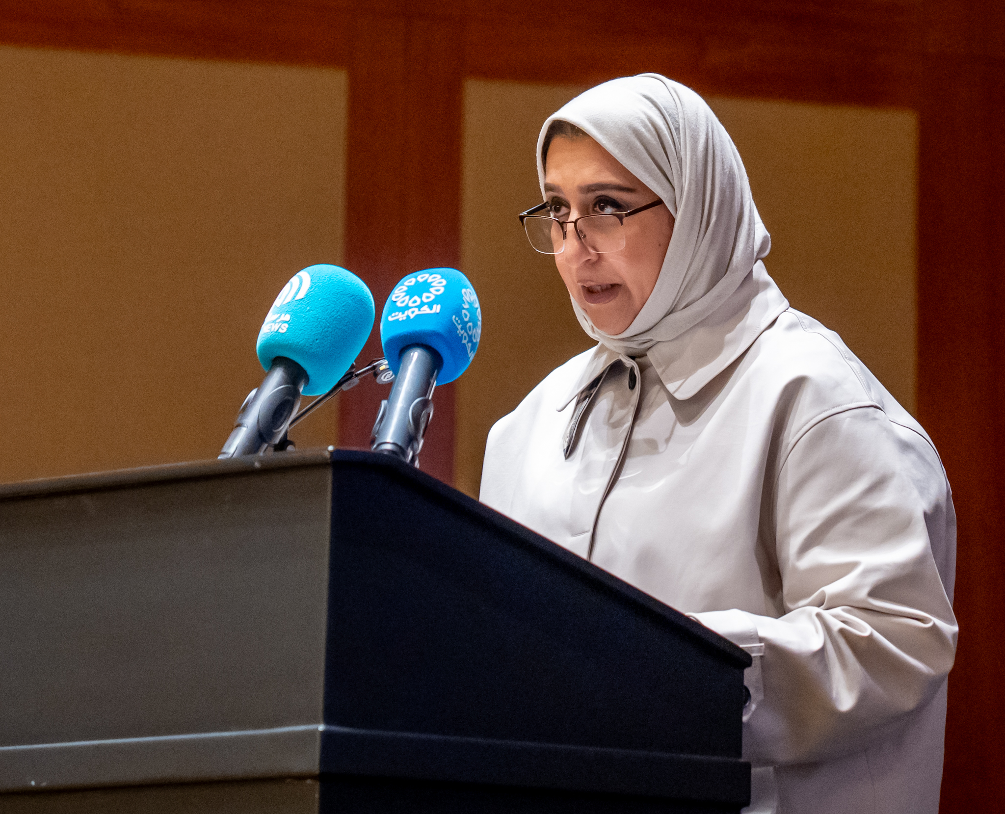 La directrice générale par intérim de l'Agence centrale des technologies de l'information, Najat Ibrahim