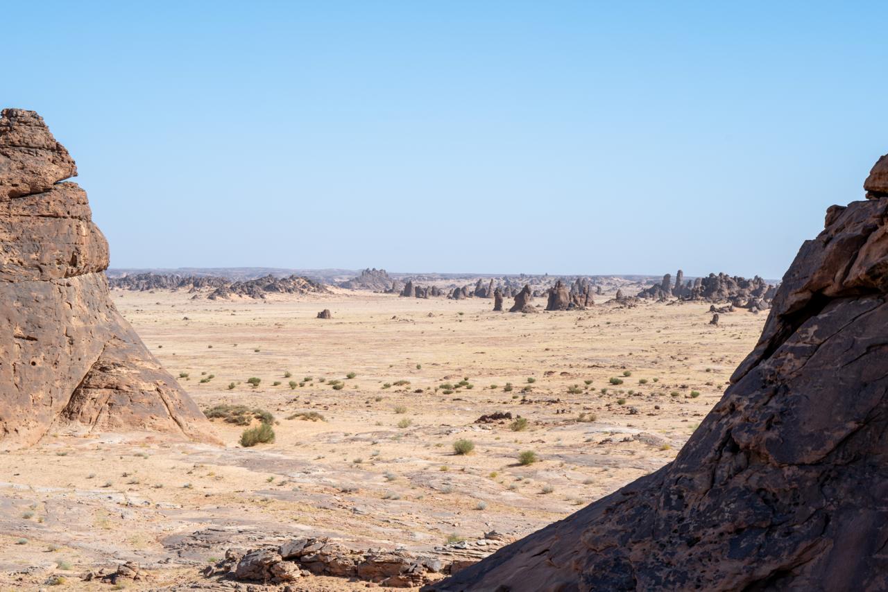 Rare fossils of a horseshoe crab dating back approximately 465 million years