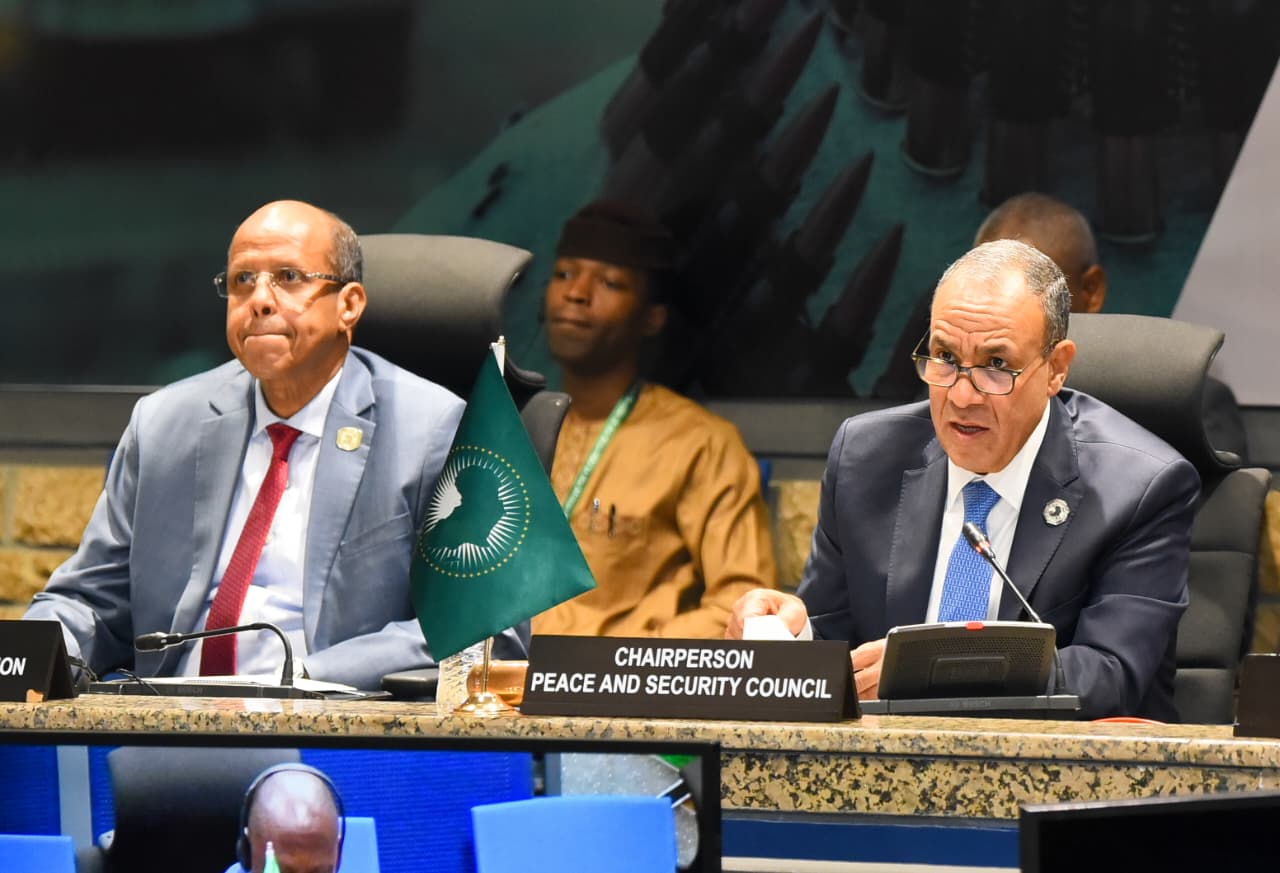 وزير الخارجية المصري بدر عبدالعاطي