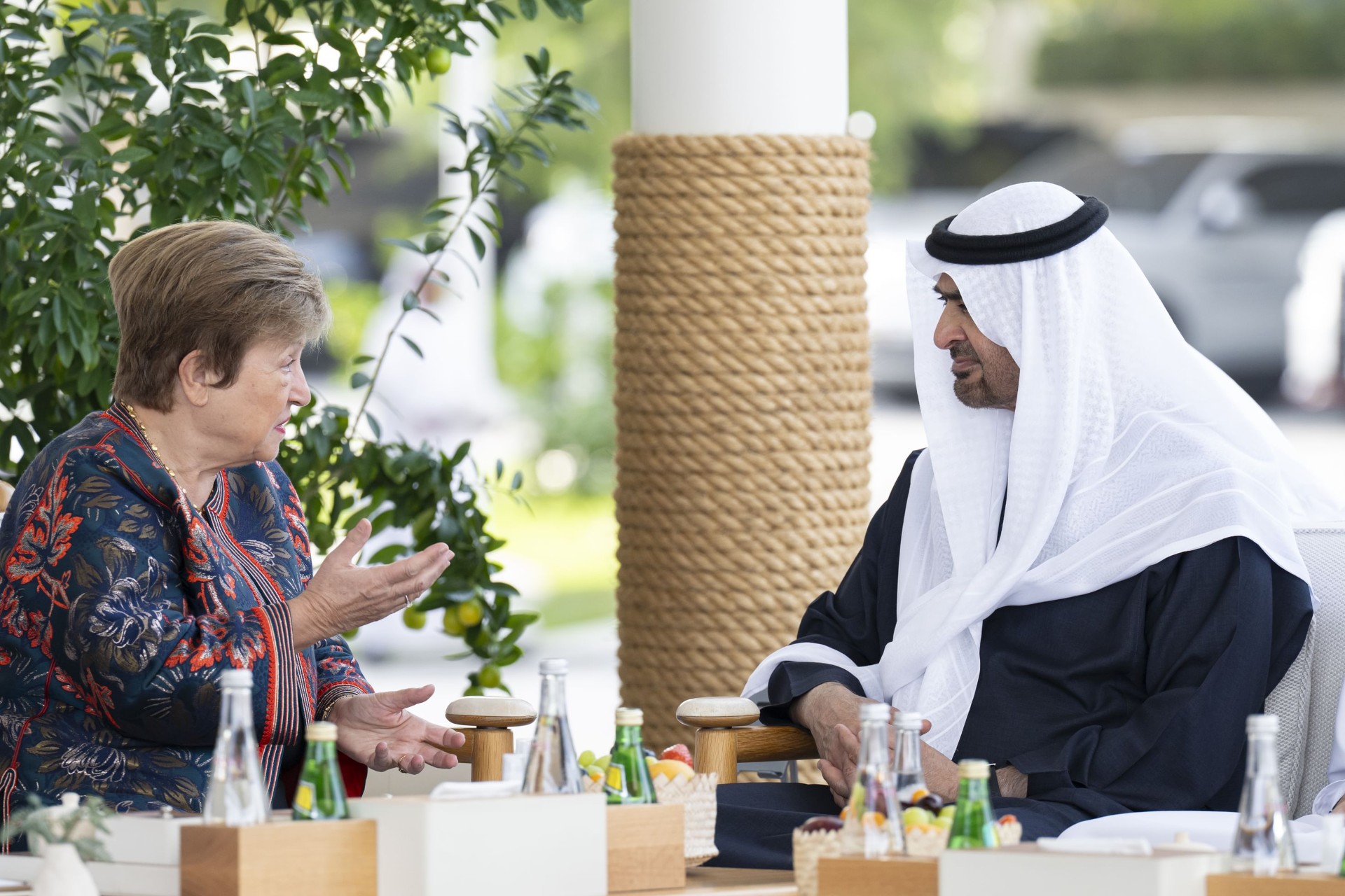 UAE President with visiting Managing Director of the International Monetary Fund (IMF)